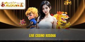 Live Casino XOSO66 - Sân Chơi Dành Cho Tín Đồ Đam Mê Cá Cược 5 Live Casino XOSO66 - Sân Chơi Dành Cho Tín Đồ Đam Mê Cá Cược